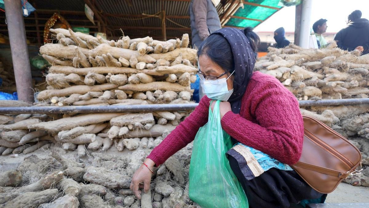 माघे संक्रान्ति नजिकिएसँगै तरुलको बिक्री बढ्दै