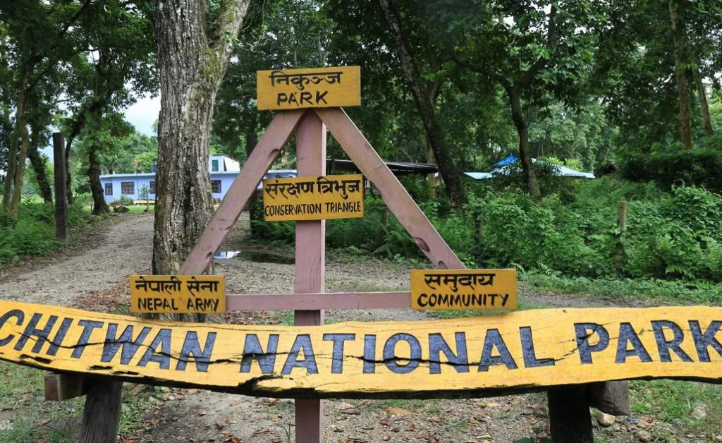 चितवन राष्ट्रिय निकुञ्जभित्र अवैध काम गर्ने १२८ जना पक्राउ