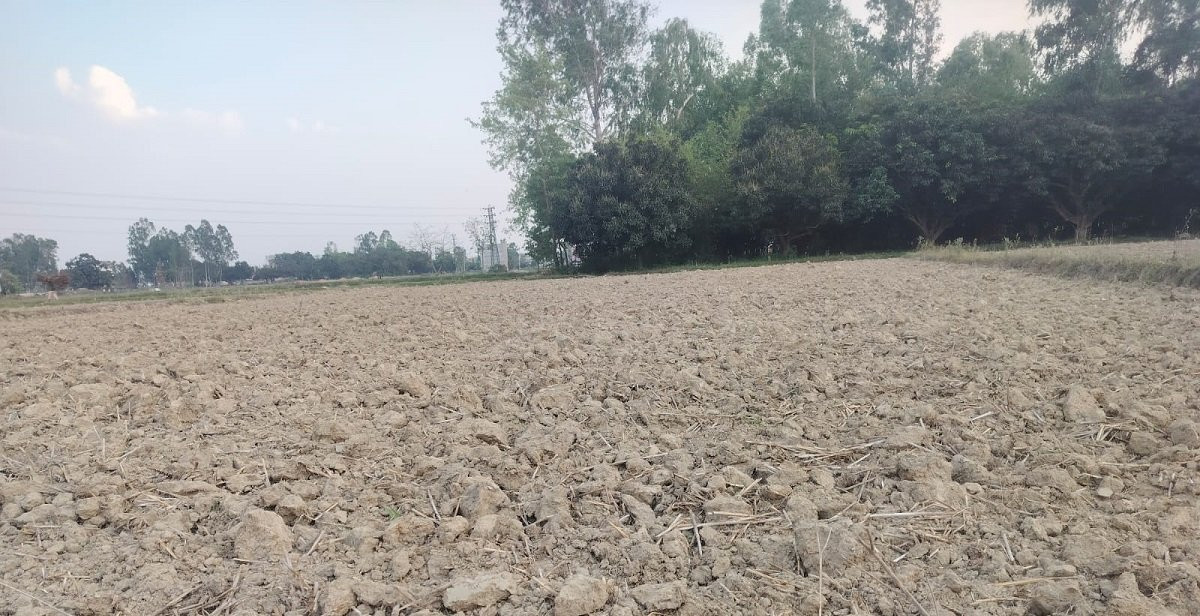 मधेसमा सिँचाइको सङ्कट गहिरिँदै, ६ लाख २ हजार हेक्टर खेतीयोग्य जमिनमध्ये ५१ प्रतिशत अझै सिँचाइ विहीन